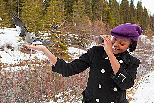 女青年,鸟,手,照相,相机,路易斯湖,艾伯塔省,加拿大
