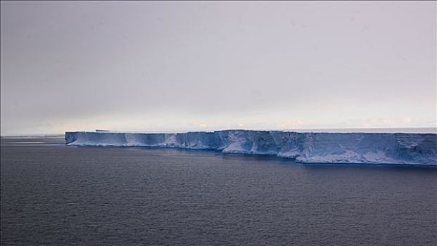 冰,舌头,屏障,罗斯海,南极