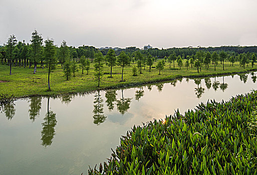 东莞燕岭湿地公园