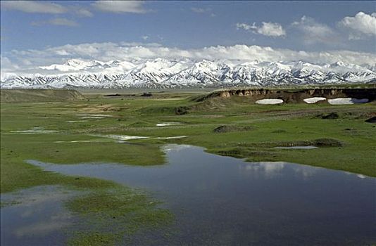 国家公园,山峦,阿拉木图,区域,哈萨克斯坦