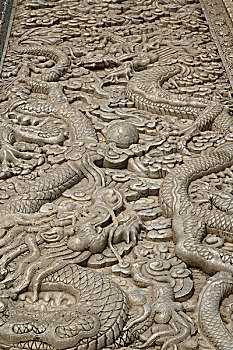 毒蛇,龙,故宫,北京,中国