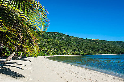 白色,沙滩,胜地,斐济,南太平洋