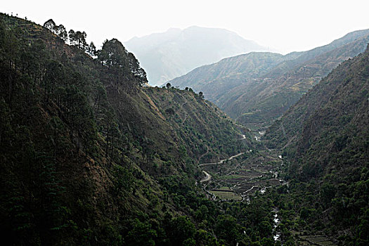 山谷,山,喜玛拉雅,山麓,印度