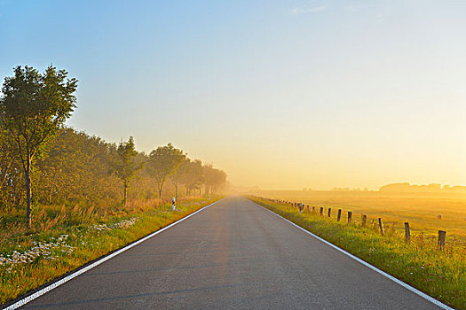 乡间小路,晨雾,夏天,石荷州,德国