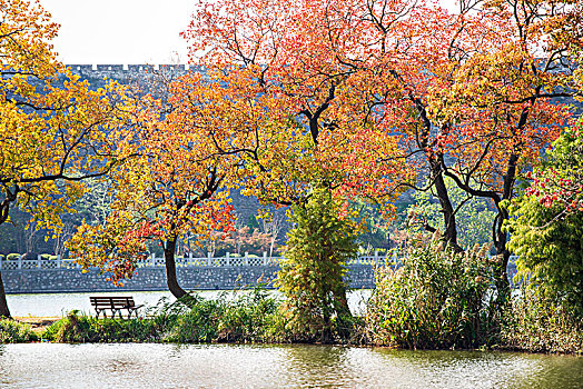 秋天的前湖