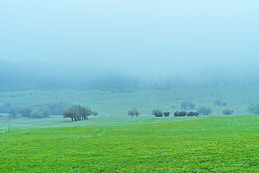雨后的武隆仙女山大草原