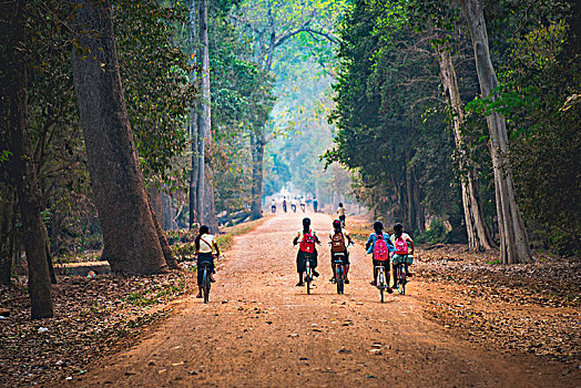 孩子,乘,自行车,道路,学校,吴哥,考古,公园,收获,省,柬埔寨,亚洲