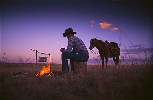 牛仔,马,坐,靠近,营火,美国,科罗拉多
