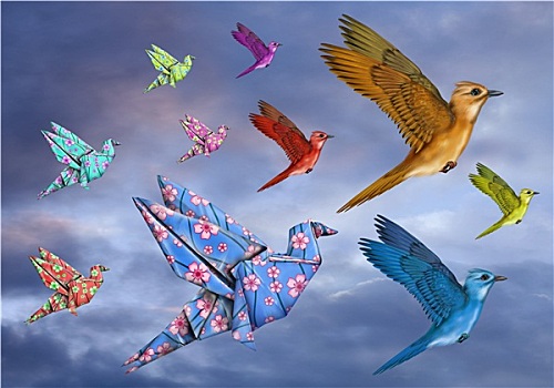 折纸,鸟,幻景