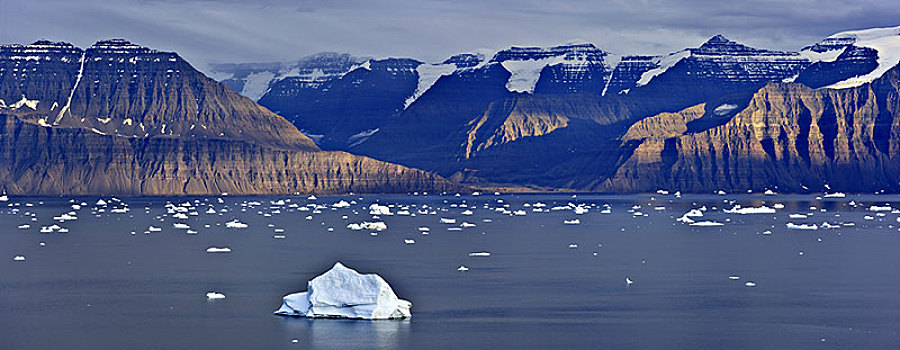 格陵兰,东方,冰山,沿岸,风景,山景