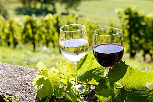 玻璃杯,红色,白色,葡萄酒,葡萄园,背景