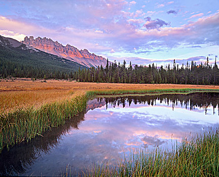 弓河,白云石,顶峰,班芙国家公园,艾伯塔省,加拿大