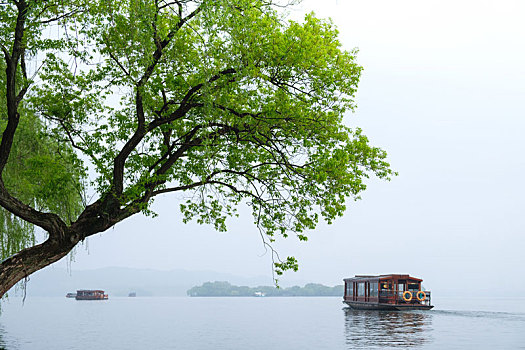 杭州西湖,春天