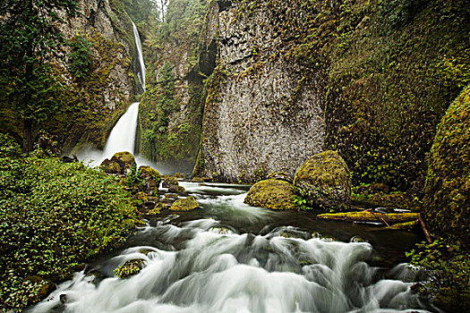 瀑布,哥伦比亚河峡谷,波特兰,俄勒冈,美国,北美