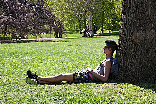 男青年,坐,树,阳光,海德公园