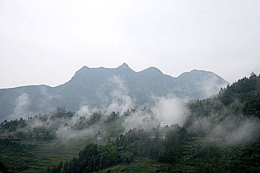 雨中巫山的云雾
