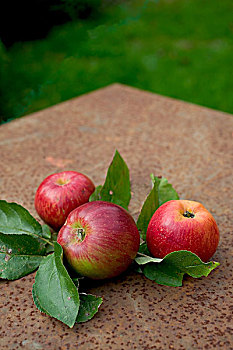 皇家,节日,红苹果,叶子,生锈,花园桌