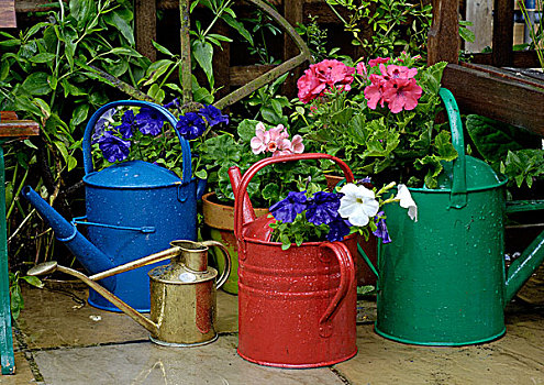 明亮,色彩,浇水,罐,一年生植物,英国,欧洲