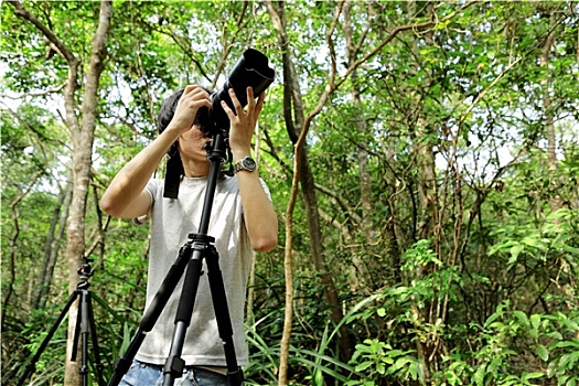摄影师,树林