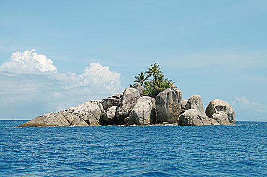 小,岩石,岛屿,棕榈树,马埃岛,塞舌尔,非洲