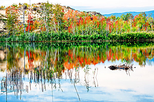 新疆,白沙湖,秋天,色彩