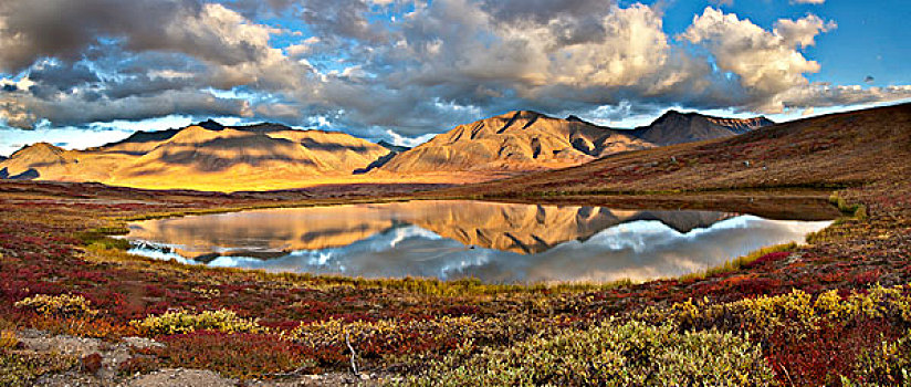 景色,布鲁克斯山,反射,河谷,保存,北极,阿拉斯加,秋天