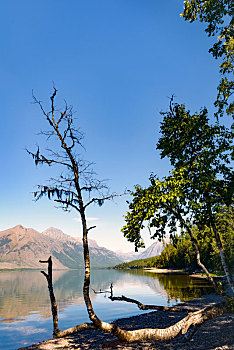 风景,麦克唐纳湖,蒙大拿