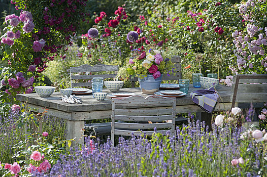 桌子,花坛,薰衣草,粉色