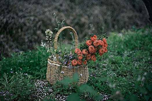 花园里绿草地上放着柳条编成的复古篮子和一束橙色的花