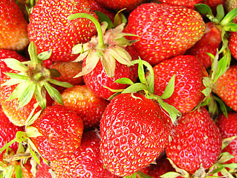 成熟,草莓