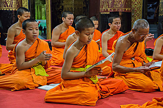 和尚,祈祷,寺庙,寺院,琅勃拉邦,老挝,亚洲
