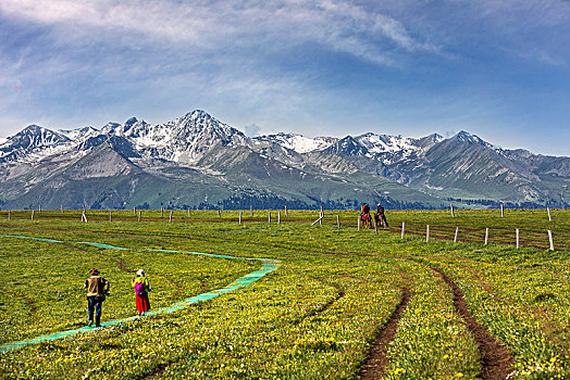 新疆喀拉峻草原,高山草原,高山牧场