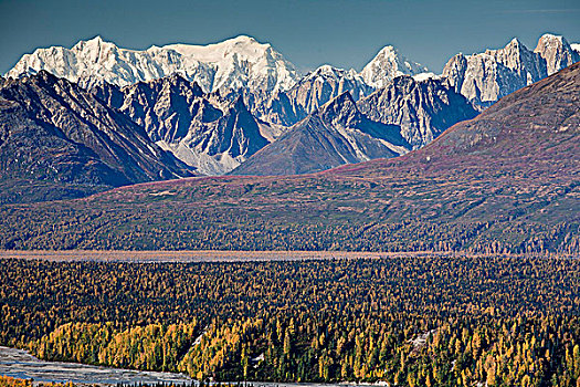 景色,阿拉斯加,山脊,小路,德纳里峰,州立公园,秋天