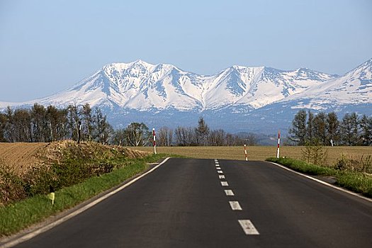 道路,十胜岳山,美瑛