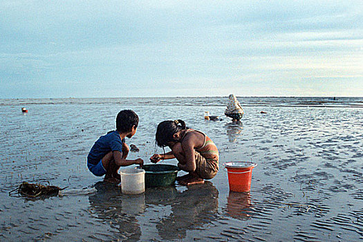 小孩,收集,虾,销售,海滩,孟加拉