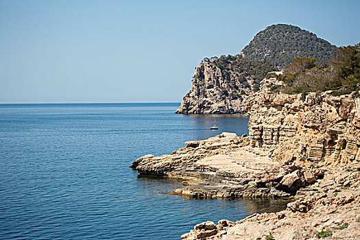 悬崖,岩石,海岸线,伊比萨岛,西班牙