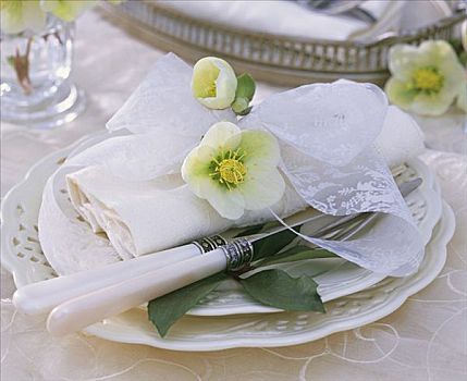 圣诞玫瑰,白色背景,餐巾,浮饰,盘子