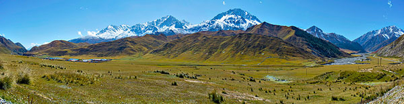 祁连山山麓亚洲最大的半野生鹿基地全景