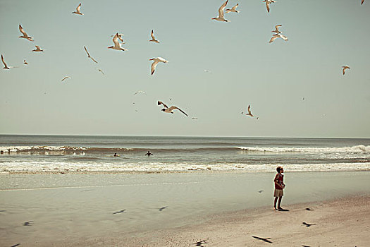 男孩,站立,海滩,海鸥
