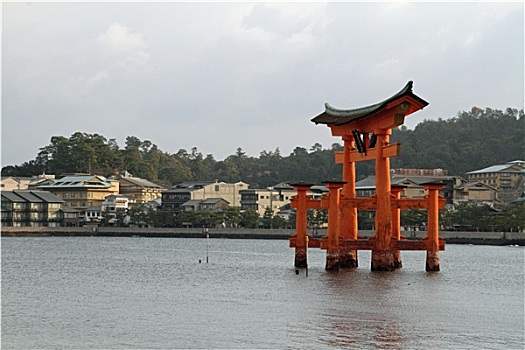漂浮,大门,严岛神社,日本