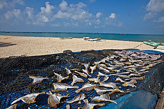 涠洲岛,北海,南海,海水,平静,热带风光,清澈,碧海,蓝天,白云,沙滩,奇观,景点,壮观,海岛,鱼,晒,渔民,风情