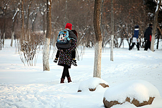 大雪,洁白,干净,寒冷,白色,覆盖,扫雪,便道,雪景,祖孙,踏雪,背负,行走,亲情,负担,劳累,辛苦