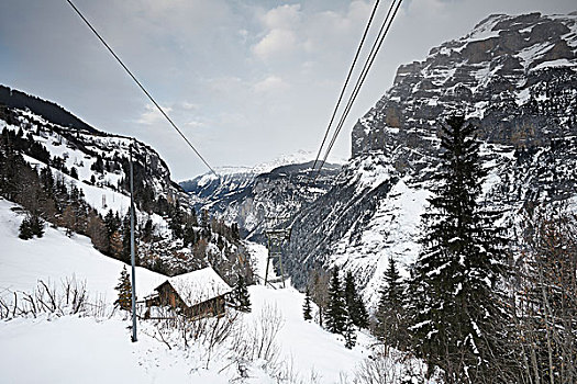 木质,木房子,线缆,线,伯恩高地,瑞士
