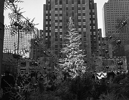 圣诞树,正面,摩天大楼
