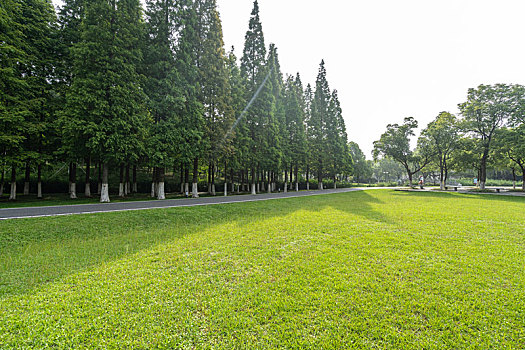 高速公路,天际线