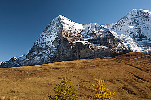 山,艾格尔峰,风景,伯恩高地,伯尔尼州,瑞士,欧洲