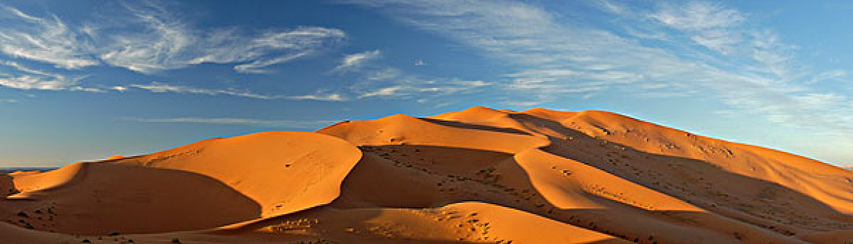 沙子,沙丘,西部,边缘,撒哈拉沙漠,沙漠,摩洛哥,非洲