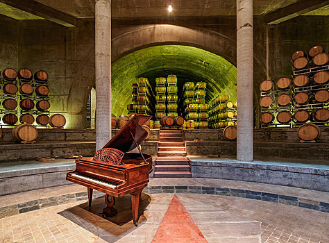 酒窖,桶,钢琴,室内,葡萄酒厂,门多萨,省,阿根廷,南美
