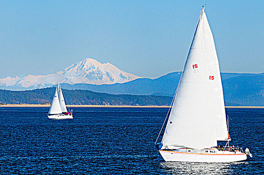 两个,帆船,航行,不列颠哥伦比亚省,山,做糕点,华盛顿,美国,隐现,背景