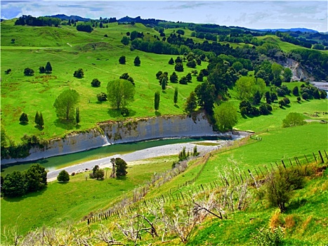 新西兰,风景,照片